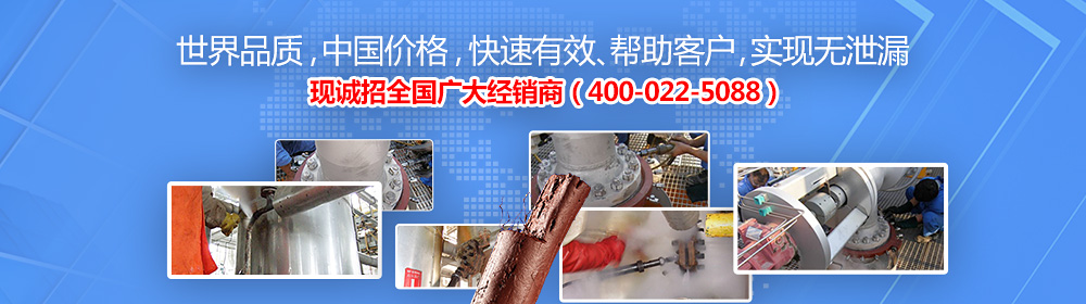 悦翔密封胶,带压堵漏剂,带压堵漏泵,带压堵漏公司,带压堵漏材料